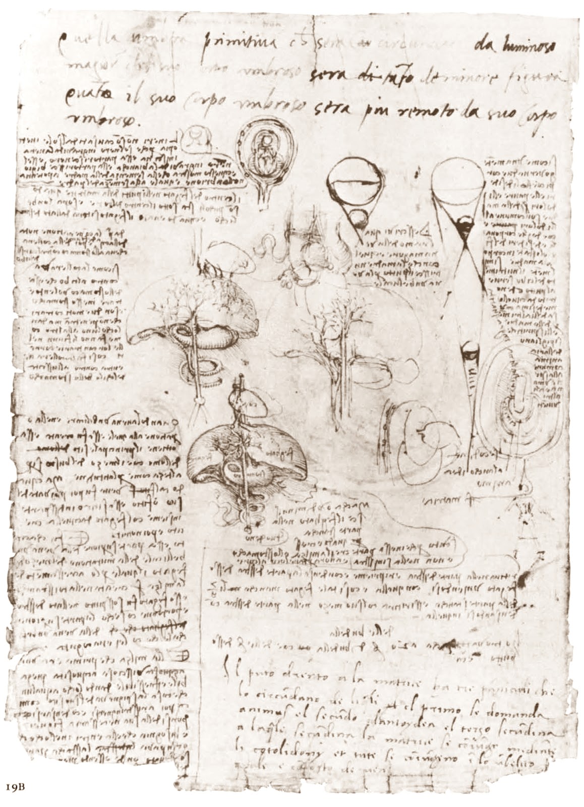 Leonardo+da+Vinci-1452-1519 (779).jpg